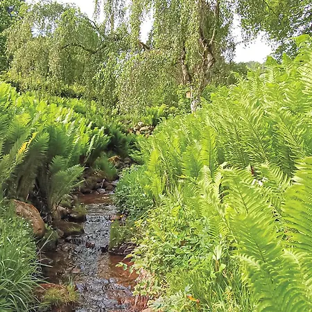 Lille Munkebjerg * Vejle